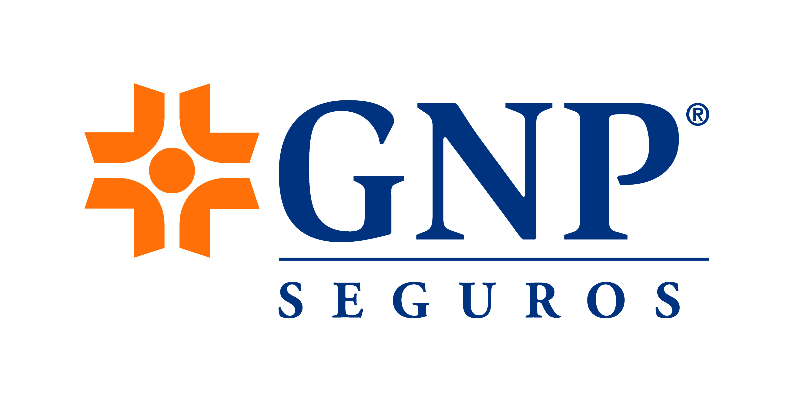 GNP Grupo Nacional Provincial