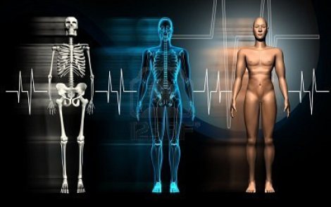 Sistemas y aparatos del cuerpo humano